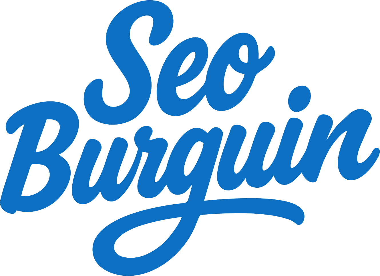 Seo Burguin Logo